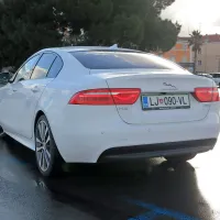 Zadku manjka malce agresivnosti