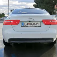 Vražje hitra mačka