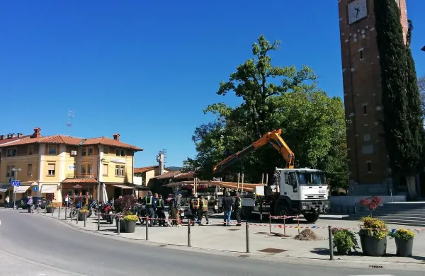 Včeraj so mlaj že postavljali na Trgu Ivana Roba v  Šempetru.