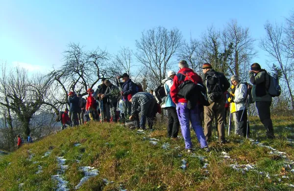 Za sofinanciranje športa bo občina Brda letos namenila 
predvidoma 58.400 evrov, so nedavno sklenili svetniki 
občine.