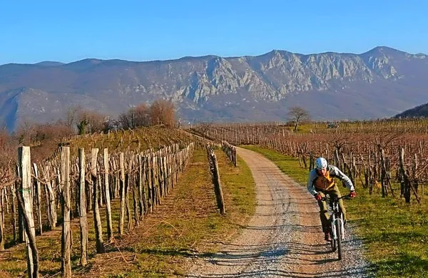 Gorske kolesarje so proge vodile na rob Trnovskega  gozda  in 
tudi skozi vinograde.