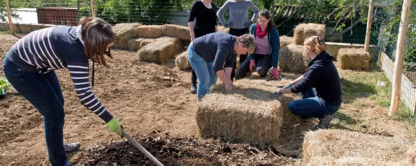  Bale so primerne predvsem za tiste predele vrta, kjer je prst 
izredno slaba.