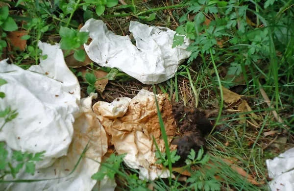 Nekdo si je v spominskem parku omislil  stranišče v naravi.