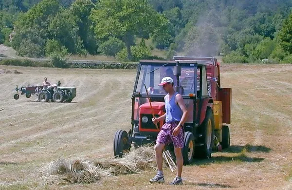 V komenski občini so želeli kmetom pomagati pri nakupu 
rabljenih kmetijskih strojev, a država to otežuje.

 