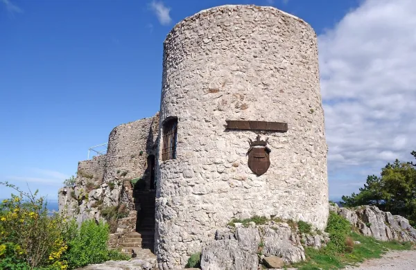 V koprski občini nameravajo programsko nalogo revitalizacije gradu Socerb predstaviti tudi  zelo verjetnemu novemu ministru Tonetu Peršaku. Upajo, da bo slednji bolj 
naklonjen zamisli o lastniškem prenosu utrdbe na lokalno 
skupnost.