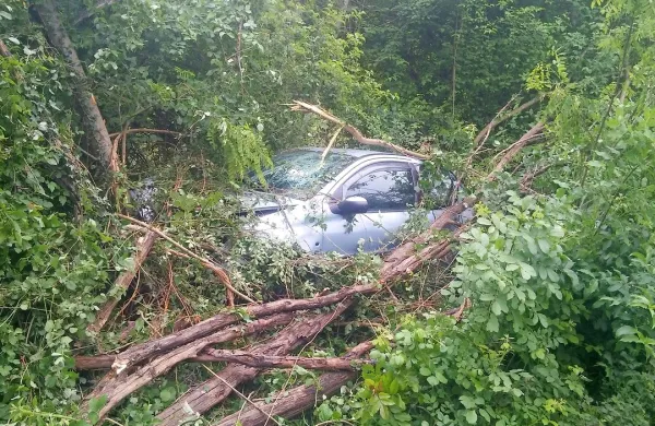Mlada voznica je z avtom zapeljala  goščavo in trčila v 
drevo. 