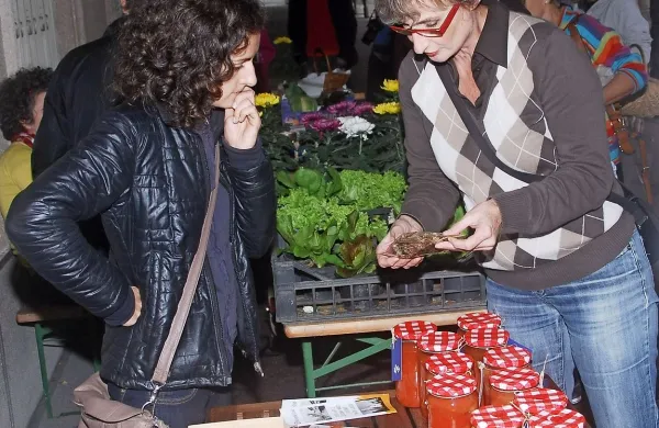 Utrinek z novogoriške Zelemenjave izpred treh let.