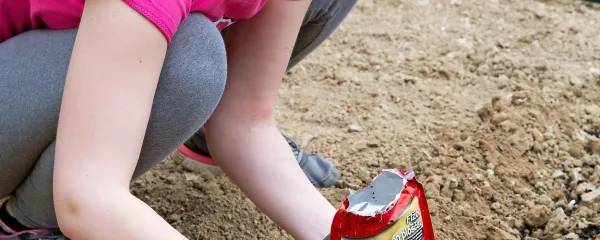 Na Primorskem vrtičku smo posadili različne vrste fižola. 