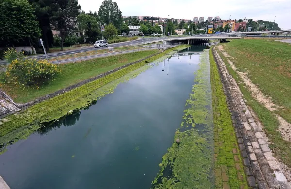 Zakaj so se v Bada&scaron;evici namnožile zelene alge?