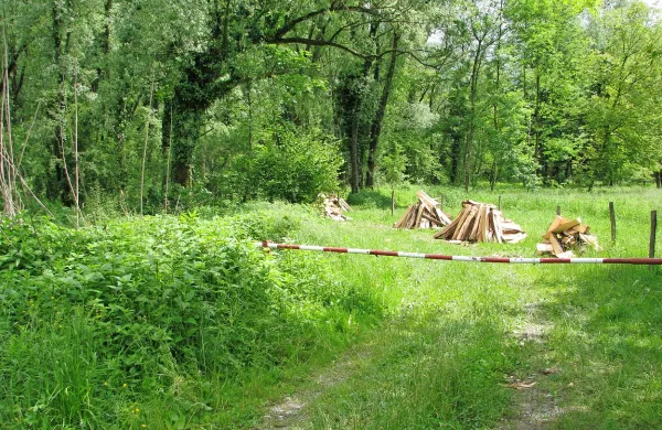 Zavod za varstvo narave je pešpoti in kolesarski poti z brvjo rekel “ne”, ker tam živijo redke in 
zavarovane ptice in deževnik. Volčani odgovarjajo, da gre za absurd in  da se bodo borili.