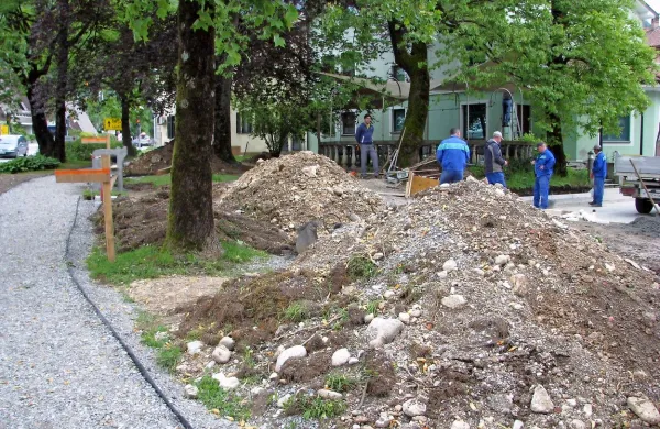 Zaradi korenin so morali kopati ročno