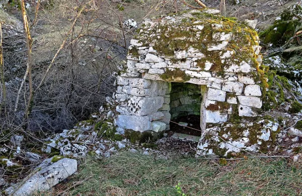 Znanje zlaganja kamenja na suho brez uporabe veziva je 
osnovna in prvobitna tehnika gradnje predvsem na Krasu in v 
Istri ter je bilo eden izmed osnovnih pogojev preživetja na 
kamnitem kraškem in istrskem svetu.