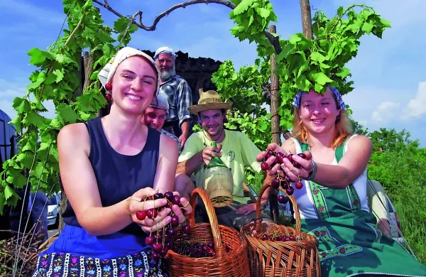 Letini  zaradi deževnega maja ne kaže najbolje, praznik pa bo 
vseeno vikend daljši. 