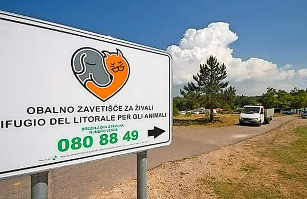 V Obalnem društvu proti mučenju živali so prepričani, da bi 
bila zgodba z zavetiščem zagotovo bistveno drugačna, če bi 
veterinarska inšpektorica opravila svoje delo korektno in 
zakonito. 