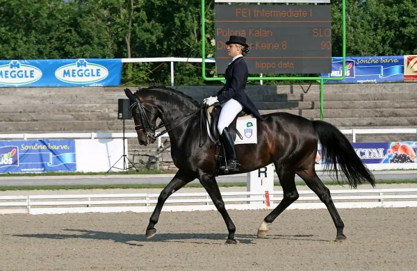 Polona Kalan