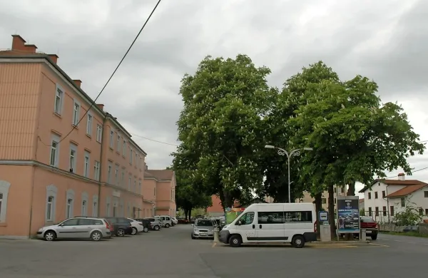 Istrska proga je v Divačo pripeljala številne Istrane in mnogi so se tu ustalili. 