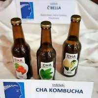 Zmagal je sladoled iz ajde in kislega mleka