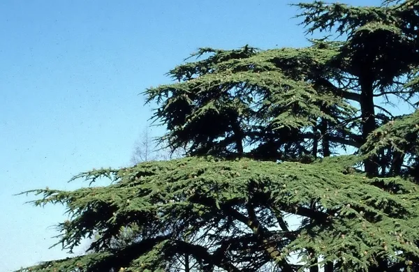Fotografija je simbolična.