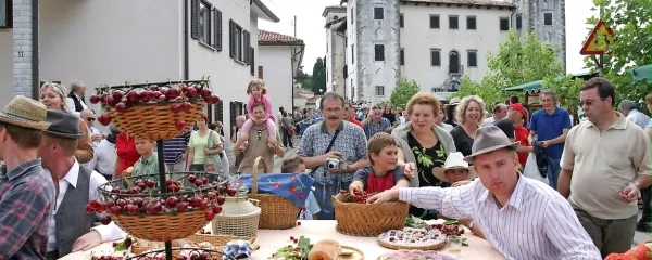  Skoraj si ni več mogoče predstavljati junija, ko na Dobrovem ne bi bilo 
sprevoda, posvečenega češnjam. Jutrišnji naj bi bil še posebej slovesen.