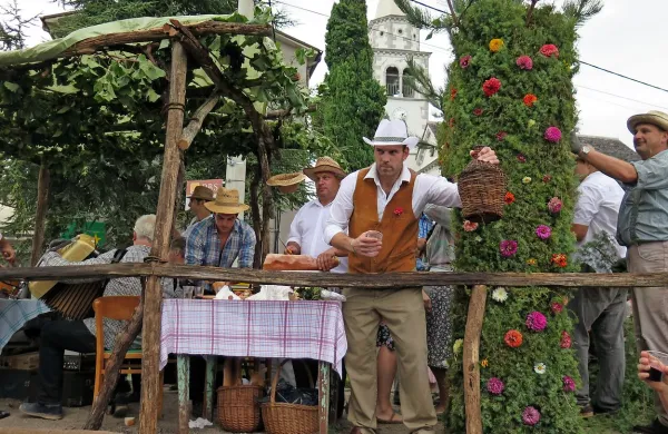 Vasi, ki so v prejšnjih letih pripravile vozove za povorko na 
dutovskem prazniku, so za material in druge stroške prejele 
nekaj sto evrov. Letos  tega denarja ne bo. 