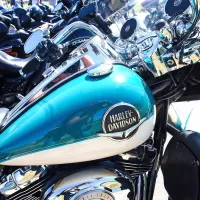 Harleya&scaron;i so se podali na paradno vožnjo po istrskih cestah (foto)