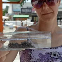 Tehnika navdu&scaron;uje tudi dekleta