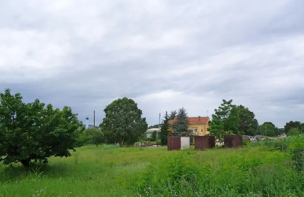 Travnik med restavracijo Brič in picerijo Pod pergolo na Biviju naj bi v bodoče gostil pasji hotel.

