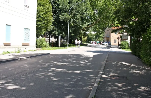 Na občini si želijo, da bi se Cesta 5. maja iz običajne mestne 
ulice prelevila v alejo. 