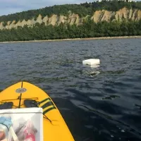 Supajo in čistijo morje