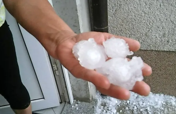 Toča, ki je v ponedeljek udarila po Brkinih, je bila ekstremna.
