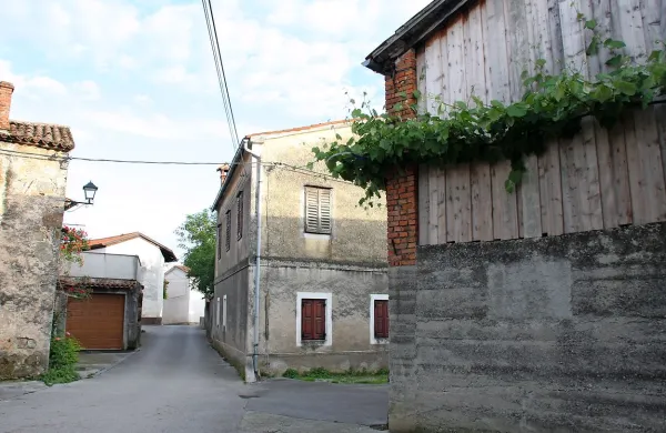 Občina  Vipava bo iskala izvajalca  OPPN za vas Goče, o 
statusu spomenika pa bodo znova razpravljali občinski 
svetniki. 