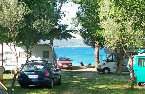 Otroka sta se igrala med avtomobili, ko se je nanju zrušil 
bor.