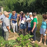 Primorski vrtiček na Purissimi pri Ankaranu danes do  13. ure 
na stežaj odpira svoja vrata obiskovalcem