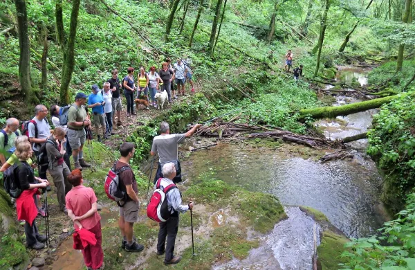 Organizatorji pohoda ob mlinih potoka Kranjšk so bili presenečeni nad velikim zanimanjem.  