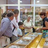 Suhi kraški travniki in kraška gmajna so dom izredno velikega 
števila različnih vrst metuljev.