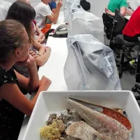 Dijaki v Izoli odkrivajo raznolikost rastlinstva in živalstva