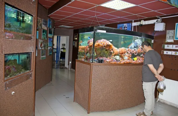 Sodišče je zavrnilo zahtevek občine, naj družba Reit prevzame Akvarij M. 