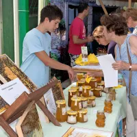 abcd
