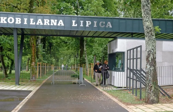 Na posestvo Kobilarne Lipica je mogoče odslej vstopiti za tri evre, vendar ta vstopnica ne omogoča ogleda hlevov s konji.