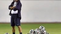 Selektor Fernando Santos ima za sabo pestro trenersko 
kariero.