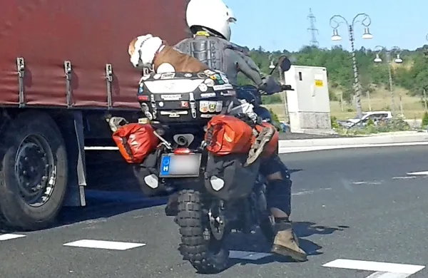 Z vetrom v uhljih ...