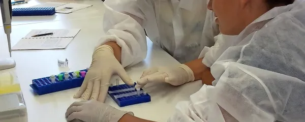 Ne le raziskovanje terena, tudi delo v laboratoriju je bilo sila 
zanimivo.