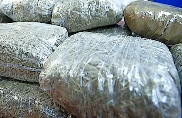 V Črni gori prijeli slovenskega državljana s 150 kilogrami marihuane