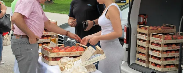 Pobratenje Pirana in Žitare vasi