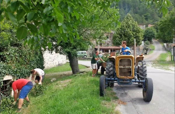 Skavti so prostovoljno očistili okolico Bržanove domačije, 
vaške cerkve in zvonika v Smokvici.   