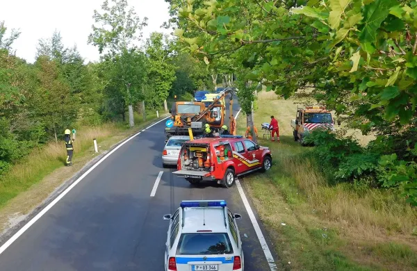 Med naseljema Tublje in Hrpelje sta trčila avto in mulčer