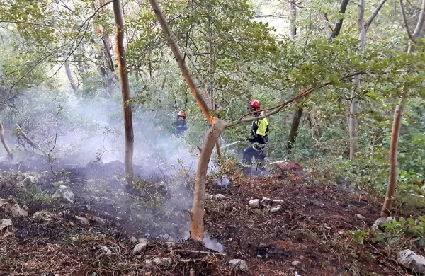 Gasilci ocenjujejo, da je gorelo na območju, velikem od 10 do 
15 hektarjev.