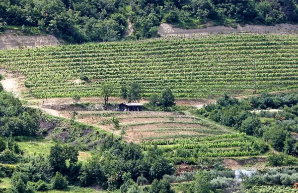 Sodišče je ugotovilo lastninsko pravico države na 34 parcelah v katastrski občini Izola (fotografija je simbolična). 