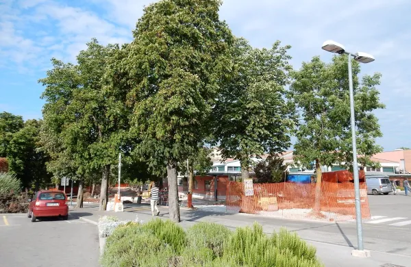 Pred prvo triado sežanske osnovne šole je zdaj gradbišče, da 
bo učence septembra pričakala toplotno izolirana šola in 
pred njo na novo urejeno dvorišče. 