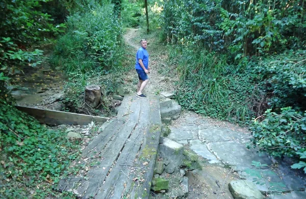 Na delu poti je čez hudourniško strugo nameščena tudi 
lesena brv.